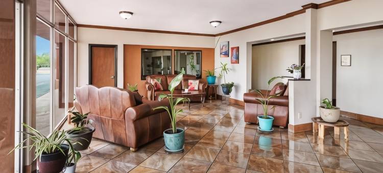 珍珠在孔乔(Pearl on the Concho)图片