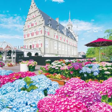 日本九州8日7晚私家团