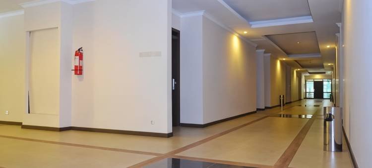 庞卡兰布翁阿尔瑟拉酒店(Arsela Hotel Pangkalan Bun)图片