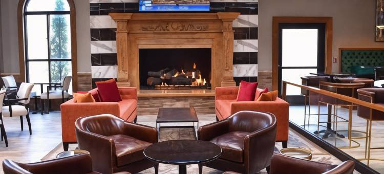 印第安纳波利斯东万豪德尔塔酒店(Delta Hotels Indianapolis East)图片