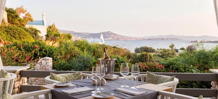 帕罗斯阿格南提 Spa 度假村酒店(Paros Agnanti Resort & Spa)图片