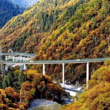 西宁+佑宁寺+彩虹部落土族园+油嘴湾花海+北山国家森林公园+扎碾公路+民和县喇家遗址博物馆+瞿昙寺+青海柳湾彩陶博物馆4日3晚私家团