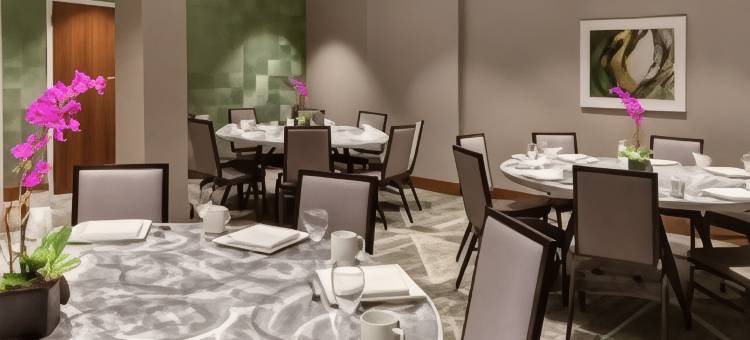 希尔顿安泊酒店-泰森斯角(Embassy Suites by Hilton Tysons Corner)图片