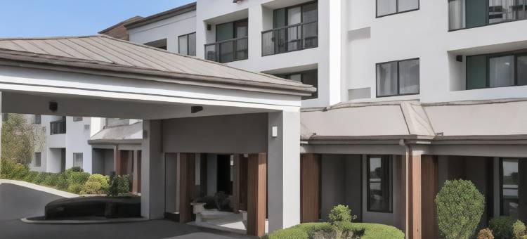 阿什维尔万怡酒店(Courtyard Asheville)图片