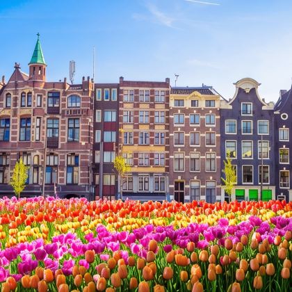 荷兰+比利时+卢森堡13日11晚跟团游