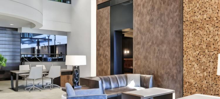 希尔顿安泊酒店-明尼阿波利斯机场(Embassy Suites by Hilton Minneapolis Airport)图片