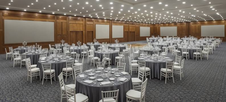 瓜达拉哈拉卡米诺里尔酒店(Camino Real Guadalajara)图片