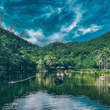 保亭5日4晚私家团