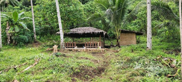 诺亚旅馆(Pondok Wisata Noah)图片