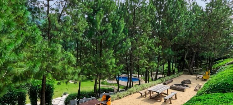 德里安河畔度假村(Driam Riverside Resort)图片