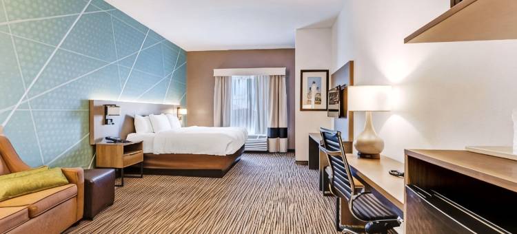 舒适套房酒店(Comfort Suites)图片