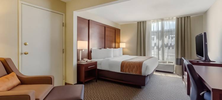 西南休斯顿舒格兰舒适套房酒店(Comfort Inn & Suites SW Houston Sugarland)图片