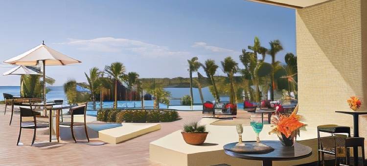 瓦图尔科水疗梦幻度假酒店(Dreams Huatulco Resort & Spa)图片