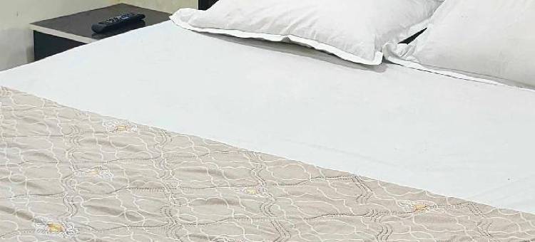 OYO Flagship Hotel Delight Inn图片