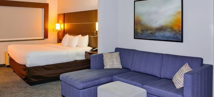 舒适套房酒店 - 近路易斯维尔湖(Comfort Inn & Suites Near Lake Guntersville)图片