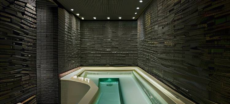 福西尼酒店(Hotel Le Faucigny)图片