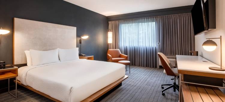 奥兰多阿尔塔蒙特斯普林斯/梅特兰万怡酒店(Courtyard Orlando Altamonte Springs/Maitland)图片