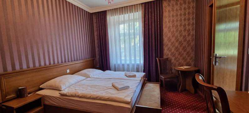 卢卡宫酒店(Rezydencja Pałac Lucja BB)图片