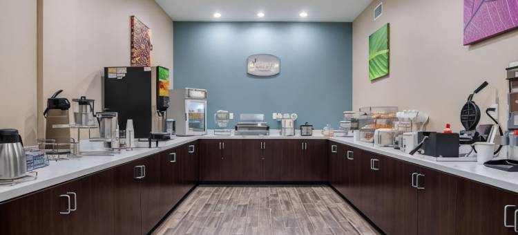 近威斯切斯舒眠套房酒店(Sleep Inn & Suites Near Westchase)图片