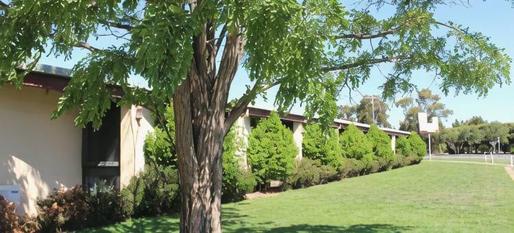 考布洛姆克罗尼奥汽车旅馆(Cobram Colonial Motor Inn)图片