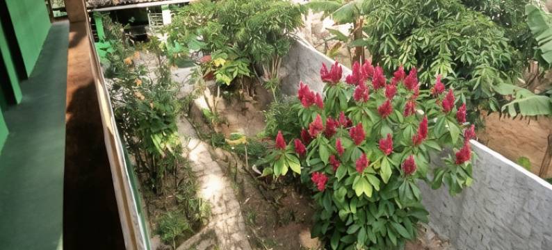 雷坎托维尔德旅馆(Pousada Recanto Verde)图片