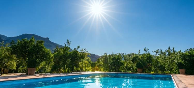 芬卡元老酒店(Finca Ca's Curial - Agroturismo - Adults Only)图片