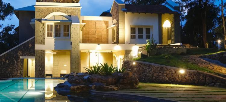 香料树Rajakumari(SpiceTree Rajakumari)图片