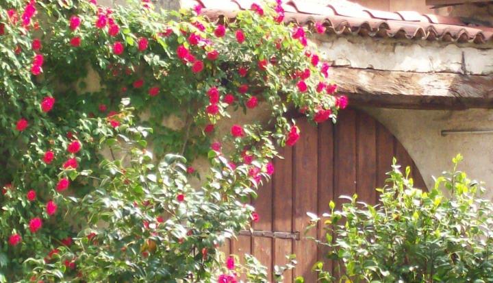 Hotel Locanda Dei Mai Intees Over view