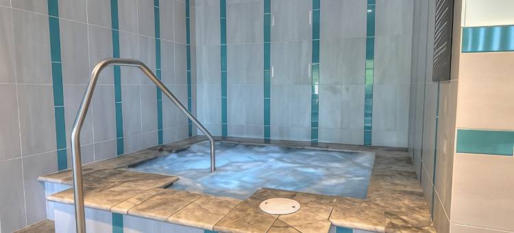 鸽子谷会议中心假日酒店及套房(Holiday Inn & Suites Pigeon Forge Convention Center)图片