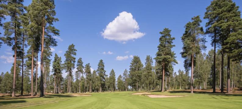 Götaströms Värdshus图片