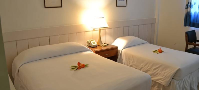 西广场市区酒店(West Plaza Downtown)图片