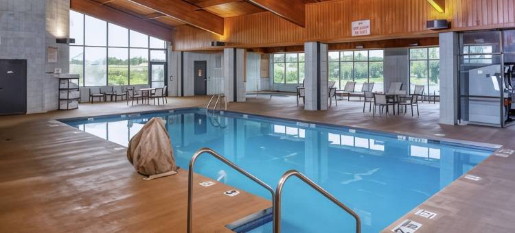 阿普尔顿希尔顿逸林酒店(DoubleTree by Hilton Appleton)图片