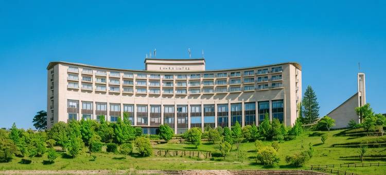 神户三田希莱顿高级酒店(The Celecton Premier Kobe Sanda Hotel)图片