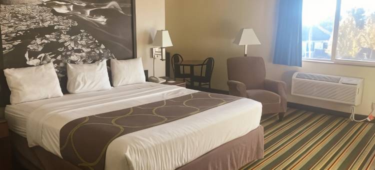 温莎速8酒店(Super 8 by Wyndham Windsor)图片