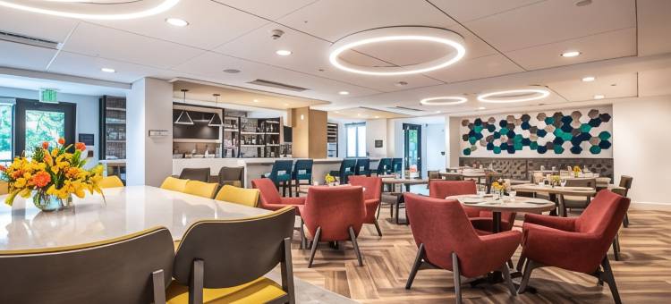 南阿什维尔希尔顿花园酒店(Hilton Garden Inn Asheville South)图片