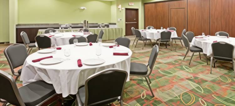 Holiday Inn 花环(Holiday Inn Dallas - Garland)图片