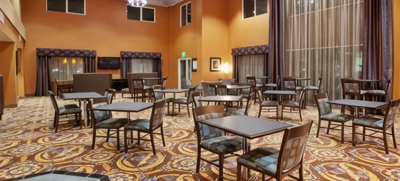 智选假日套房酒店萨克拉门托东北加州博览会(Holiday Inn Express & Suites SACRAMENTO NE CAL EXPO by IHG)图片