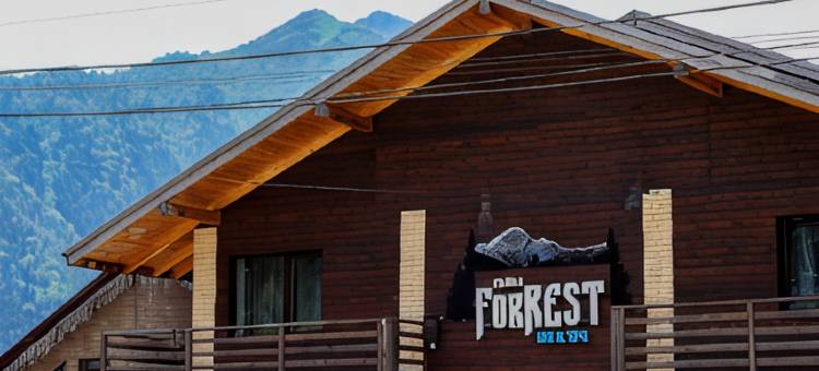 Chalet Forrest图片