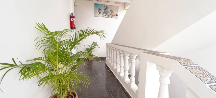 果阿克拉丽莎度假村(Treebo Clarissa Resort Goa)图片