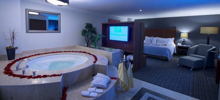 Holiday Inn 墨西哥城贸易城的中心(Holiday Inn CIUDAD DE MEXICO-TRADE CENTER by IHG)图片