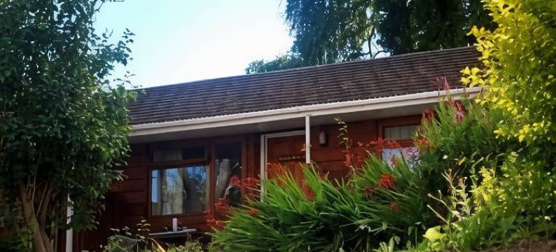 雷德诺希尔酒店(The Radnorshire Arms Hotel)图片