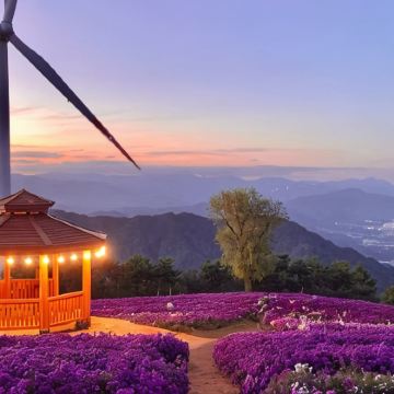 韩国+首尔8日7晚私家团