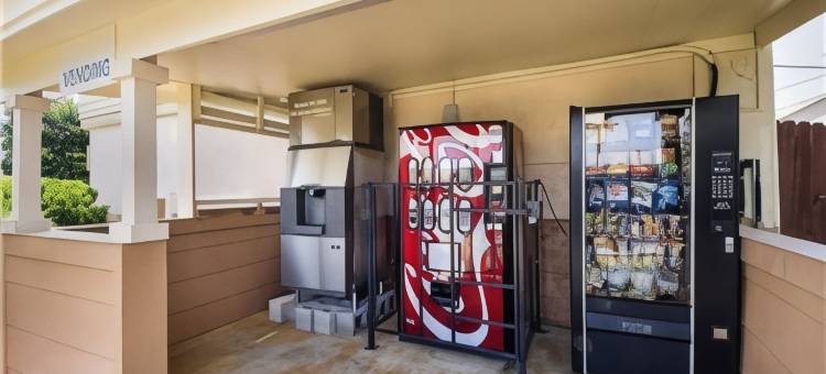 圣安东尼奥拉克兰空军基地 - 海洋世界罗德威酒店(Rodeway Inn San Antonio Lackland AFB - SeaWorld)图片