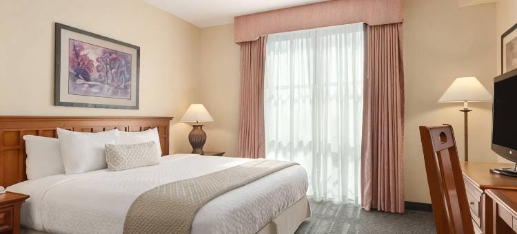 小石城希尔顿安泊酒店(Embassy Suites by Hilton Little Rock)图片