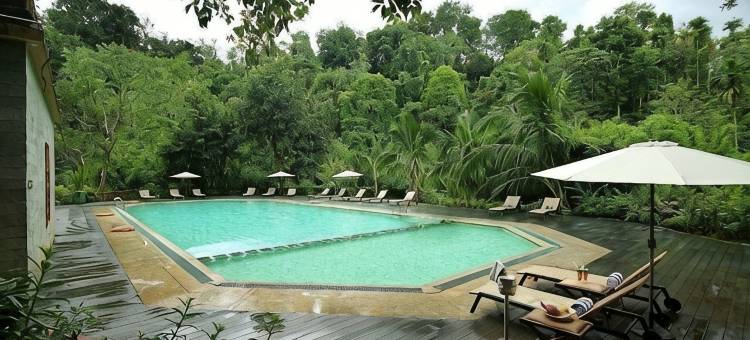 维提里温泉度假村(Vythiri Resort)图片