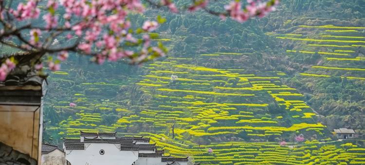 婺源雾观拾舍・Mist View Lodge现代设计感民宿(篁岭风景区店)图片