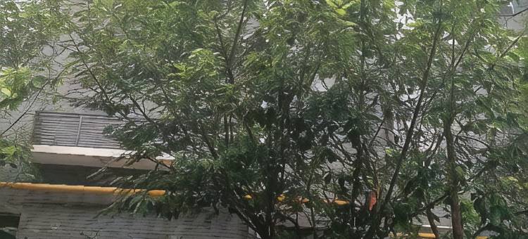 咸阳江岸壹品青年旅舍图片