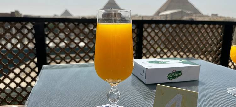 内菲尔塔利金字塔景观旅馆(Nefertari Pyramids View Inn)图片