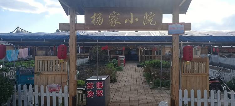 杨家小院图片