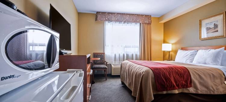 兰利舒适酒店(Comfort Inn & Suites)图片